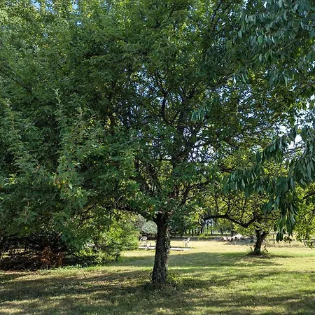 Casa vacanze Maison Familiale De Campagne, Animaux Bienvenus - Fr-1-653-296 Saint-Mary (Charente)