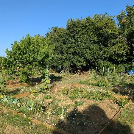 Casa vacanze Maison Familiale De Campagne, Animaux Bienvenus - Fr-1-653-296